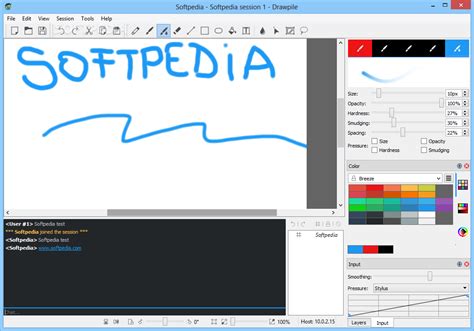 Drawpile (Windows) software credits, cast, crew of song